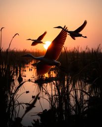A sculptural clay artwork depicting herons flying during the Golden hour in the wetlands. This piece utilizes high-contrast, 