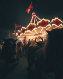 Capture the surreal spectacle of a carnival overrun by wild animals in stunning long exposure photography.  This series explo