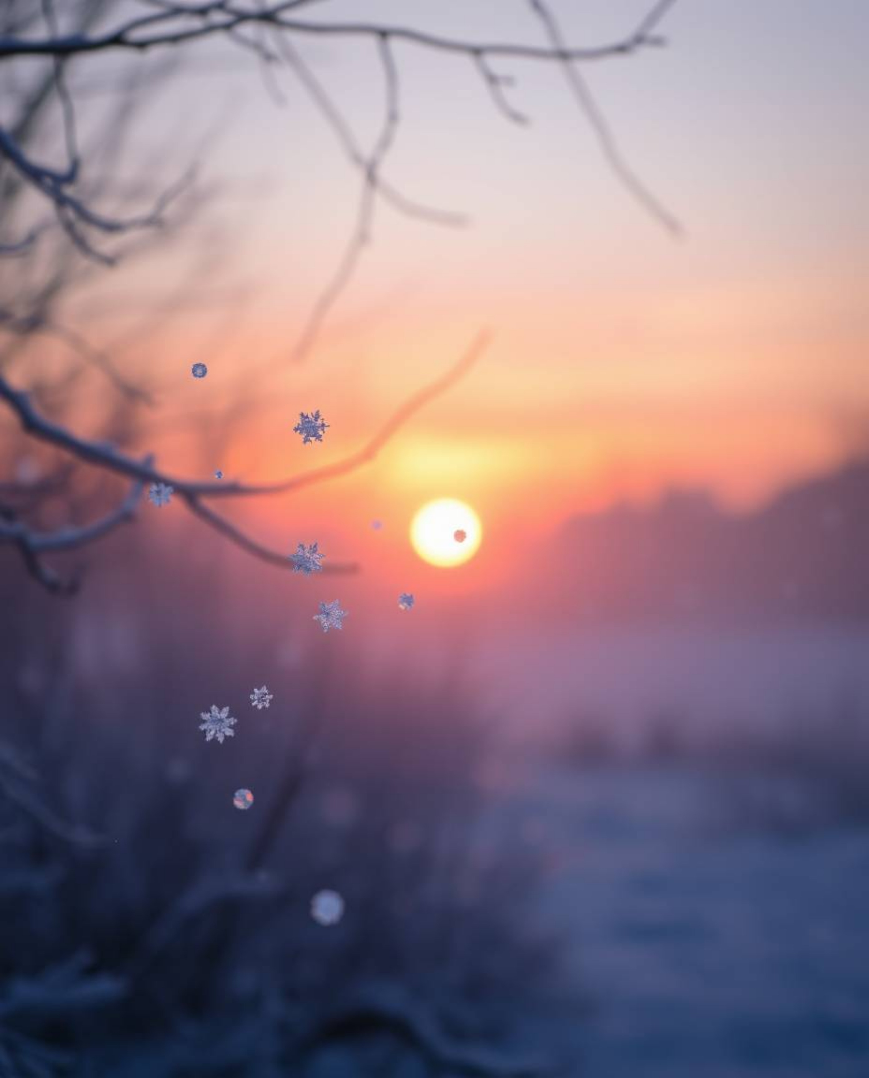 A scene with a soft, dreamy atmosphere captures snowflakes falling during a vibrant sunset. This artwork uses a palette of so