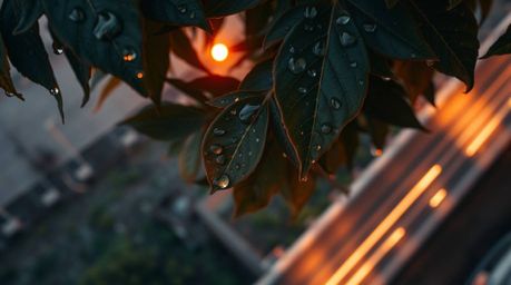 Explore the captivating world of long exposure photography with stunning overhead bird's-eye views and mesmerizing sunset ref