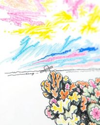 A hand-drawn sketch provides an extreme macro close-up view of a colorful sky over a coral reef at low tide. The artwork focu