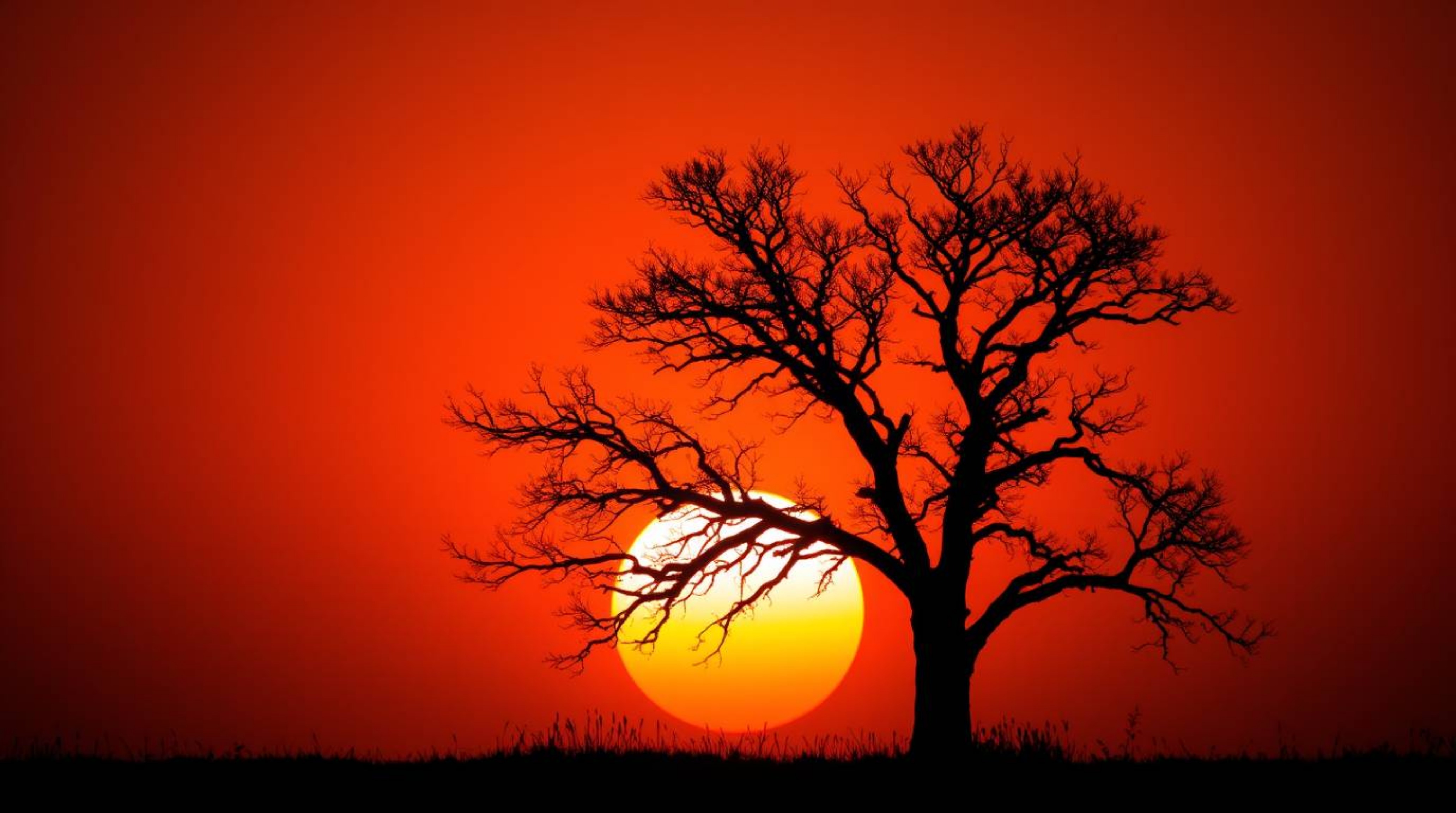 A captivating high-resolution stock photo showcasing a lone tree silhouetted against a vibrant, fiery sunset.  The image boas