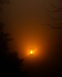 Experience the captivating ambiance of a glowing lantern illuminating a thick, foggy forest.  The warm golden glow contrasts 