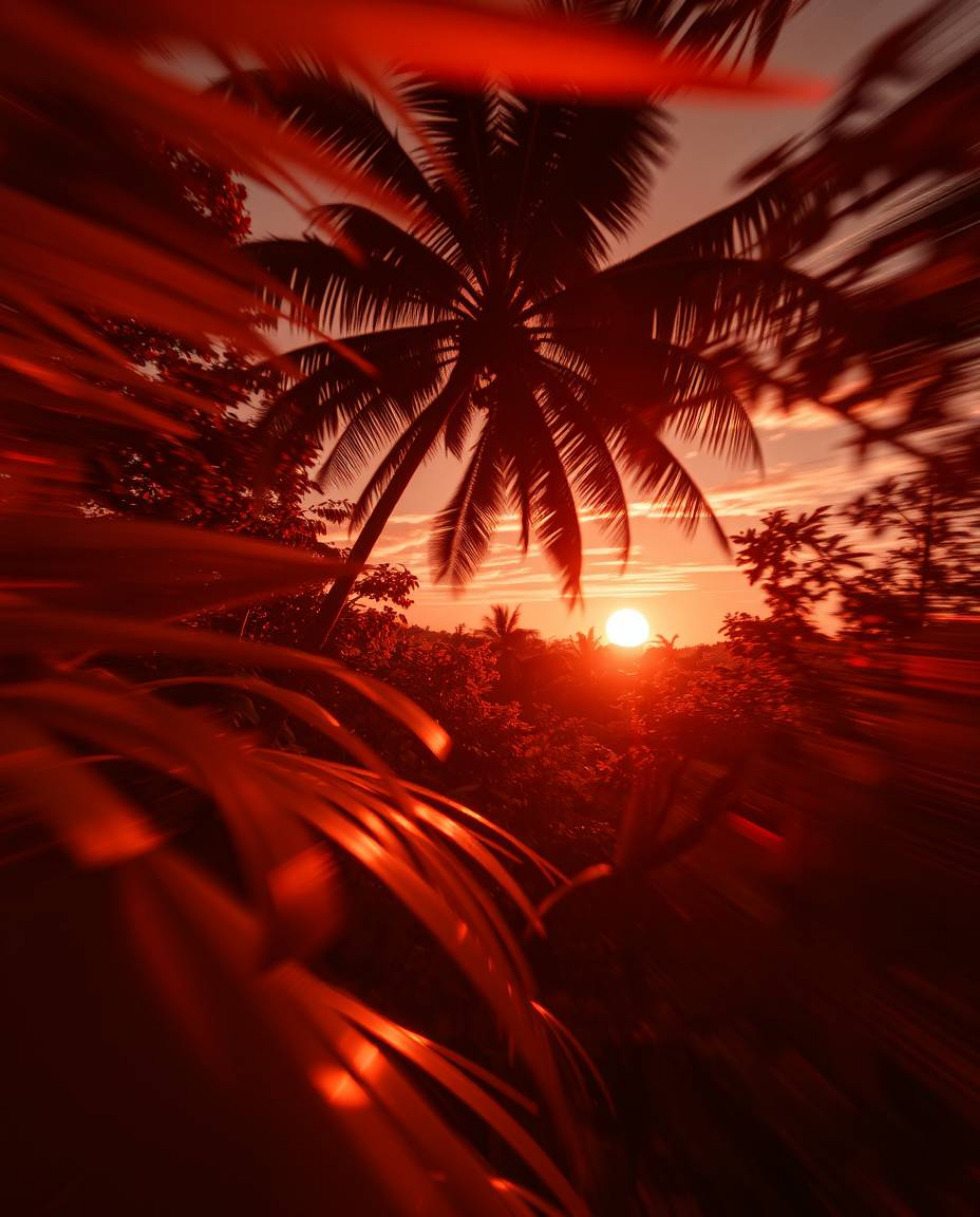 Surreal infrared toned image of a dynamic, in-motion sunset through a dense jungle canopy, featuring blurred lines, action po