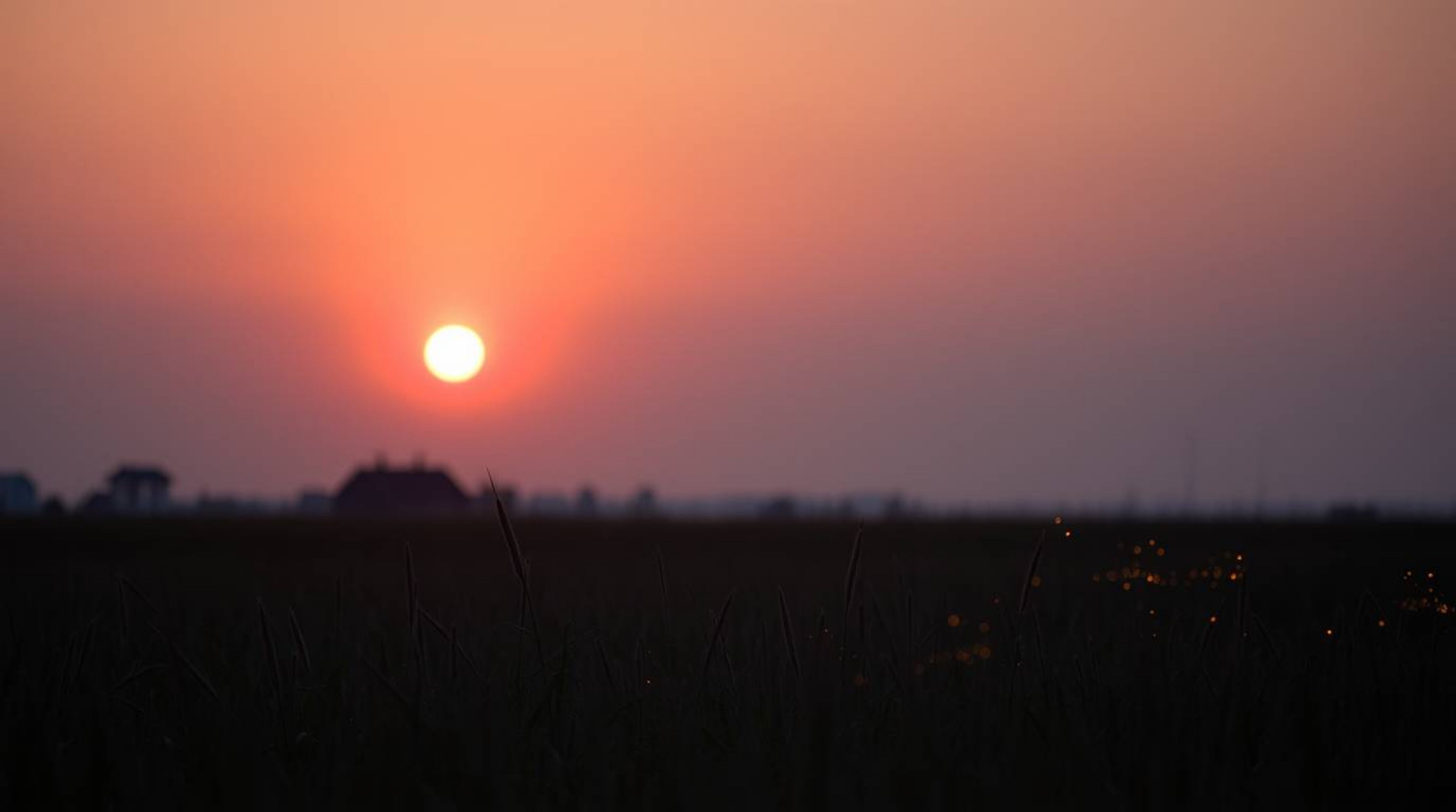 Capture the serene beauty of a sunset over a tranquil meadow, illuminated by the gentle glow of fireflies. This fine art phot