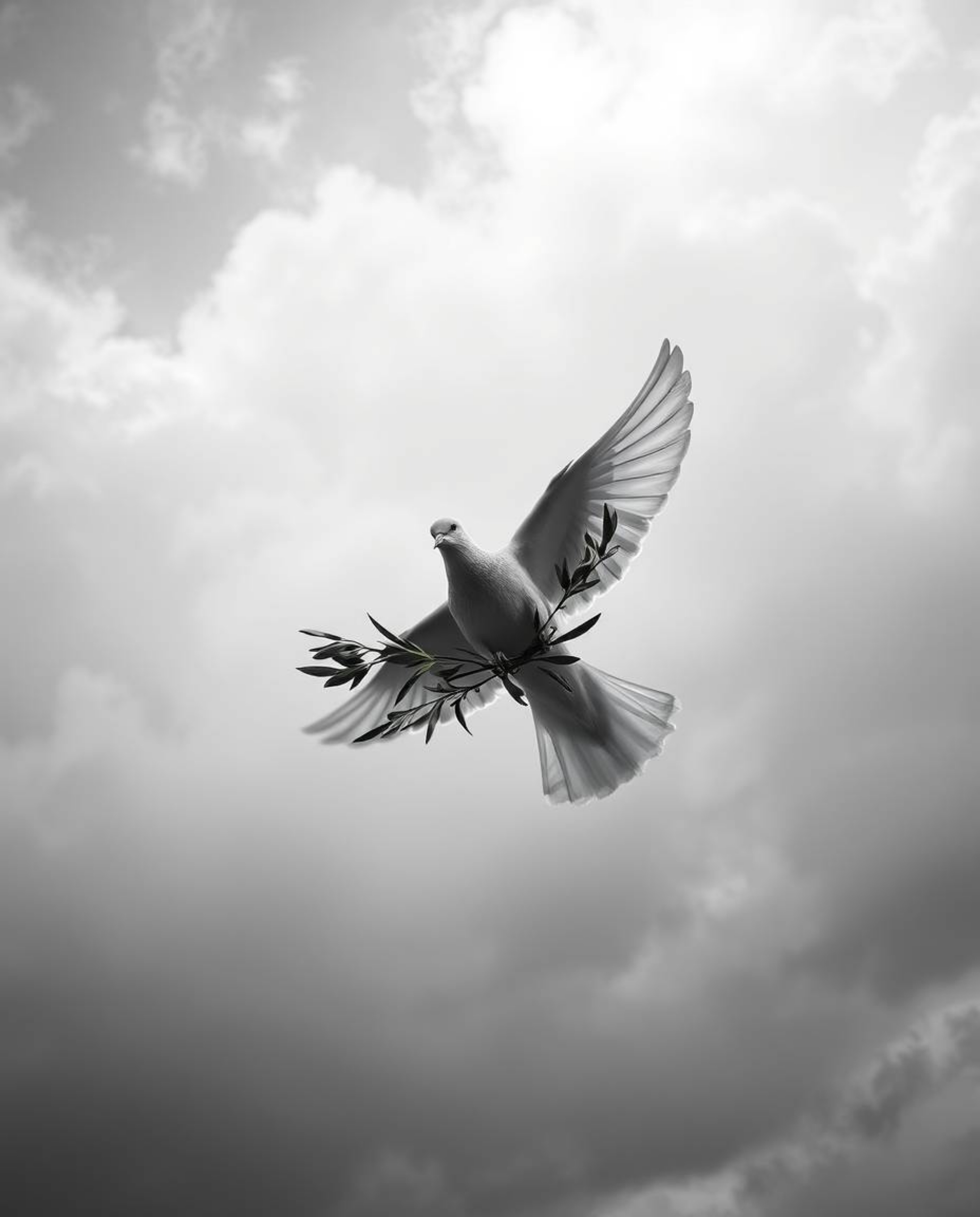 Explore a timeless image featuring a black and white bird’s eye view of a dove carrying an olive branch through turbulent, st