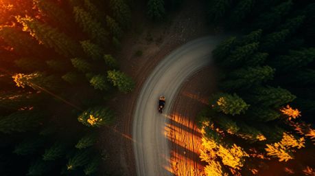 Experience a thrilling chase through a dense, looping forest bathed in the warm glow of golden hour.  This overhead, bird's-e