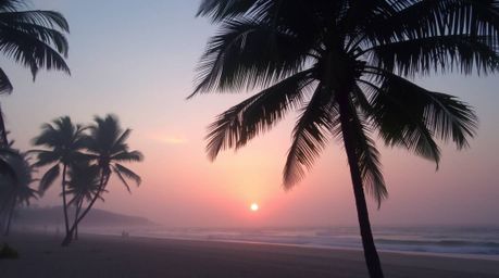 Experience a dreamy tropical beach sunset scene with swaying palm trees bathed in soft light and a hazy, soft atmosphere.  Th