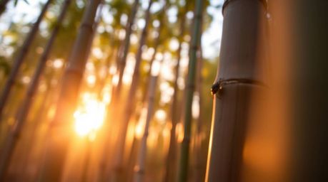 Experience the stunning detail of a small subject within a bamboo forest bathed in the warm glow of a sunset. This extreme ma