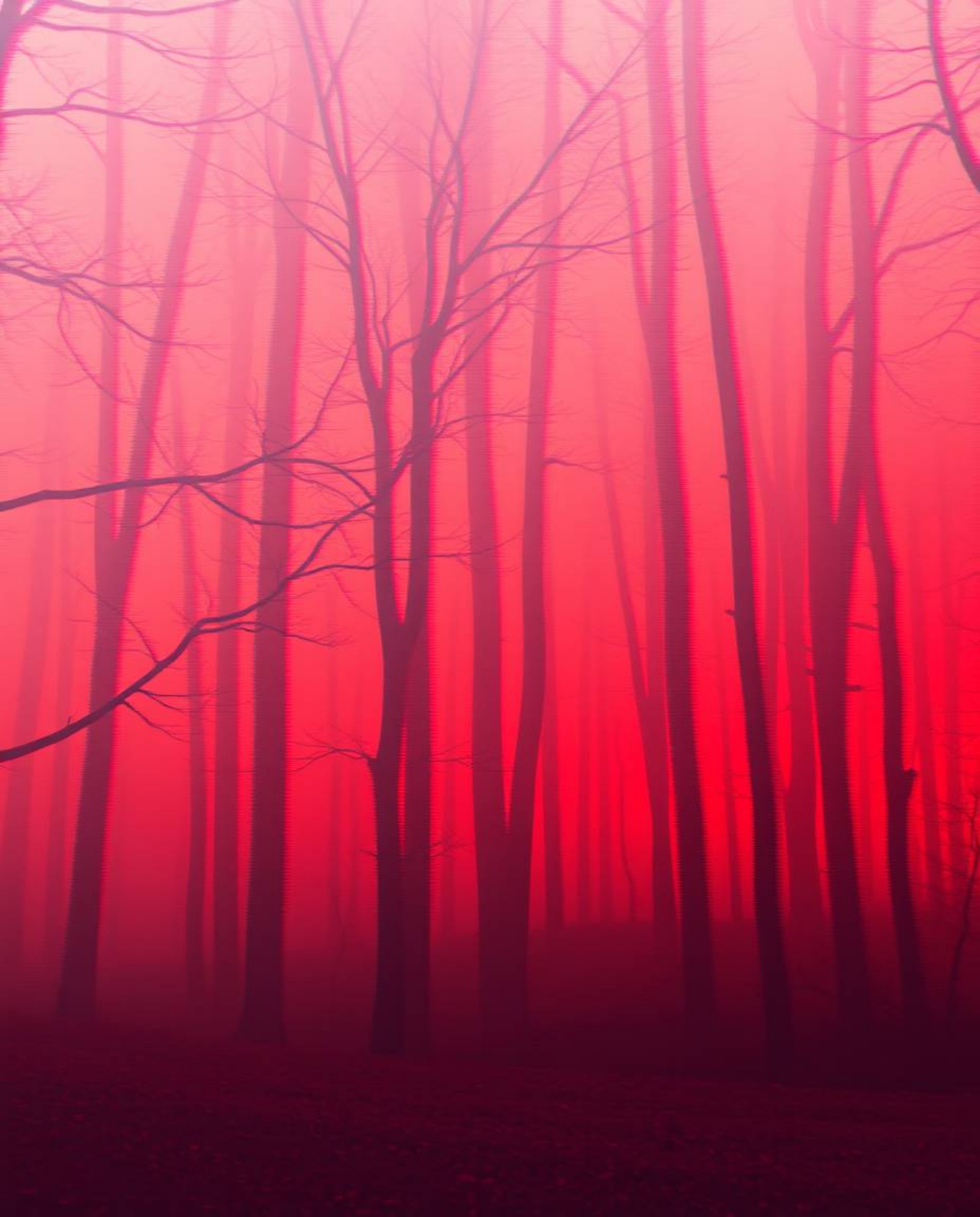 Experience a captivating blend of surrealism and digital glitch art in this evocative forest scene.  Thick fog shrouds the la