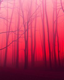 Experience a captivating blend of surrealism and digital glitch art in this evocative forest scene.  Thick fog shrouds the la