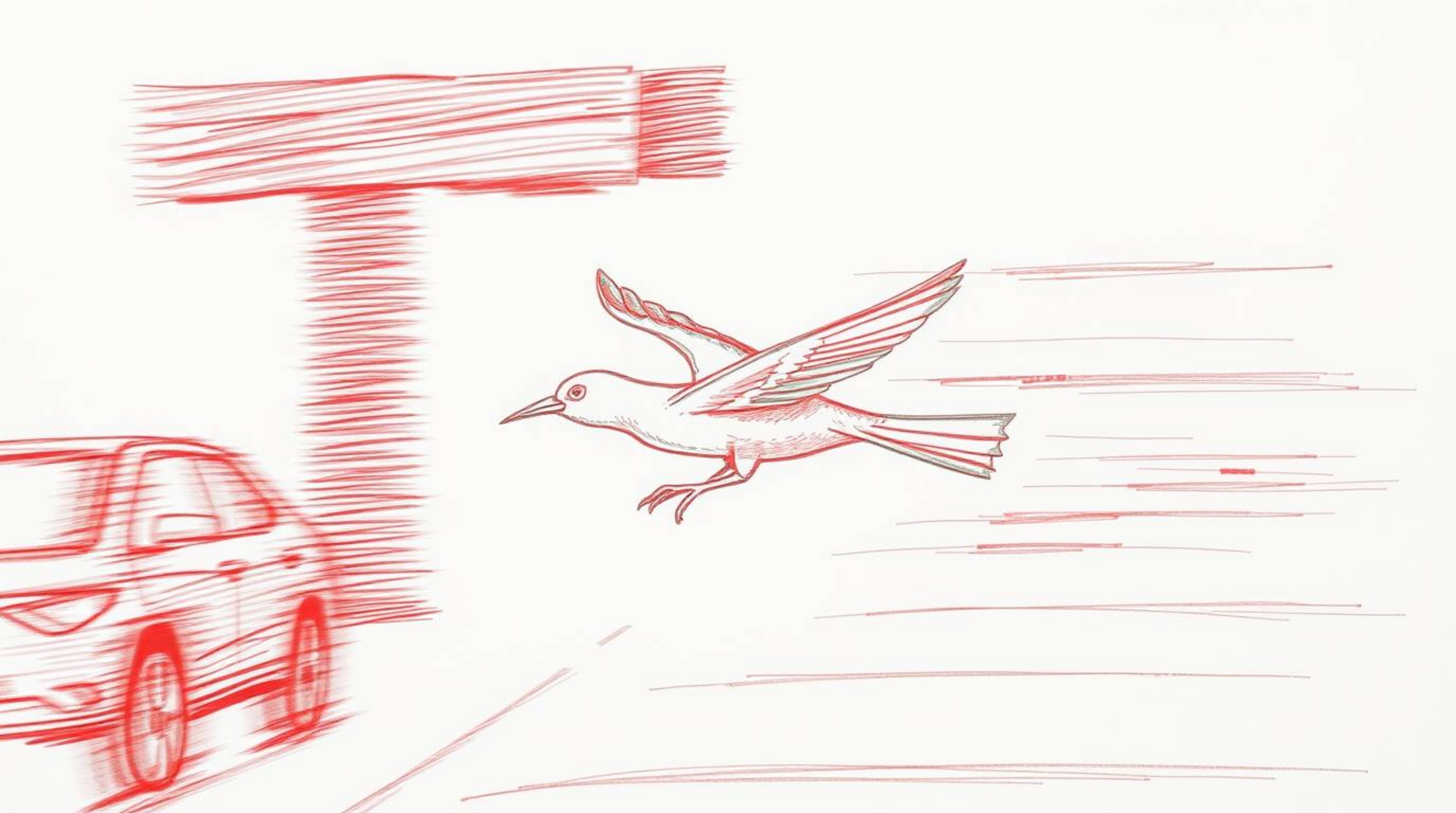 A hand-drawn sketch rendered in surreal infrared tones depicts a fast-running bird zooming past traffic. The image showcases 