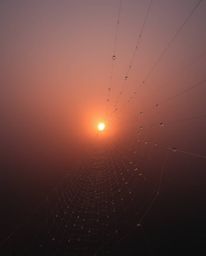 An extreme macro close-up captures the intricate details of an old wooden bridge over a river at sunset. The image is rendere