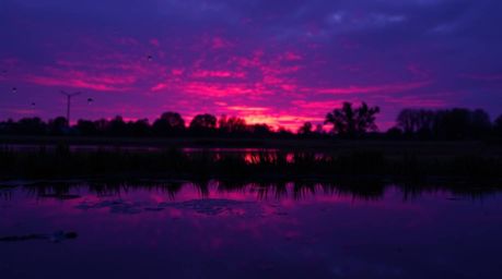 Captivating deep ultraviolet hues dominate a wet rainy scene, featuring the reflection of a colorful sunset in a calm pond. D