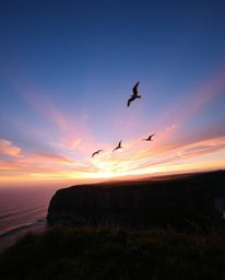 This is a low-angle perspective of a dramatic sunset over a coastal cliff, with soaring birds enhancing the scene. The viewpo