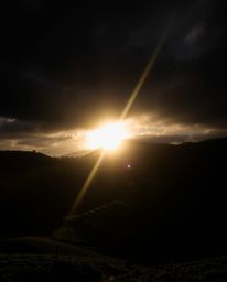 A moody photograph of a sunset over terraced tea plantations, characterized by strong hard light that creates deep shadows an