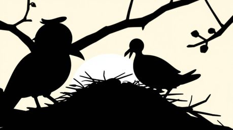 A captivating silhouetted image showcases two cartoon birds diligently building their nest in a timeless animation style. The