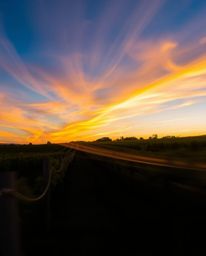 This long-exposure photograph transforms a classic sunset over a vineyard into a canvas for creative light art. The image foc