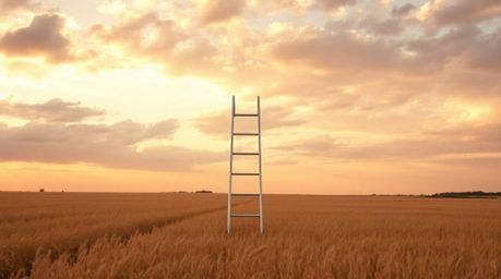 This minimalist scene portrays a silver ladder standing tall in an open field beneath a wide, cloudy sky. Bathed in the warm 