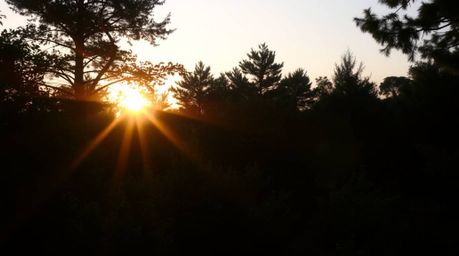 05308500a01d02f04f09800605f0ed0230a40a100006b0b4_128.jpg