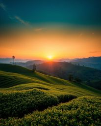 A fine art photograph of a sunset over terraced tea plantations, rendered in electric vivid colors. With soft contrast and sa