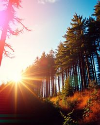 Experience a captivating digital glitch art piece where a natural forest scene is overlaid with a cinematic effect, showcasin