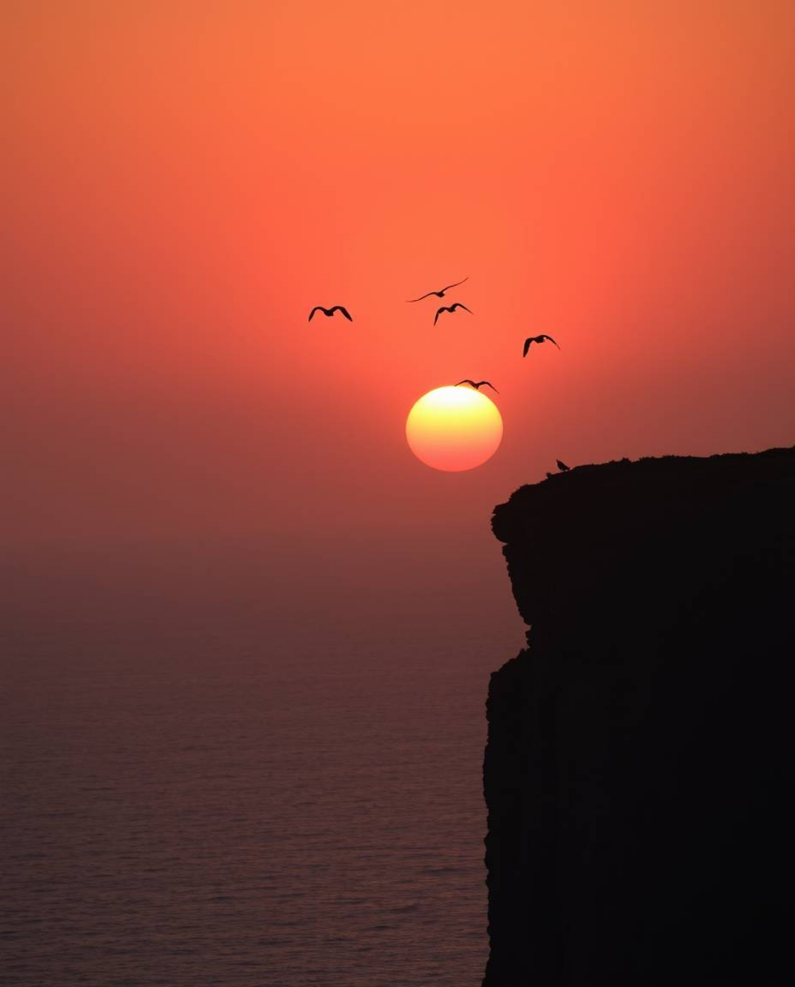A warm, slightly dark, and soft professional fine art photograph captures a graceful and elegant sunset over a coastal cliff.