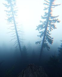 A captivating high-angle shot reveals a digital glitch effect overlaying a misty forest scene.  The thick fog creates low vis