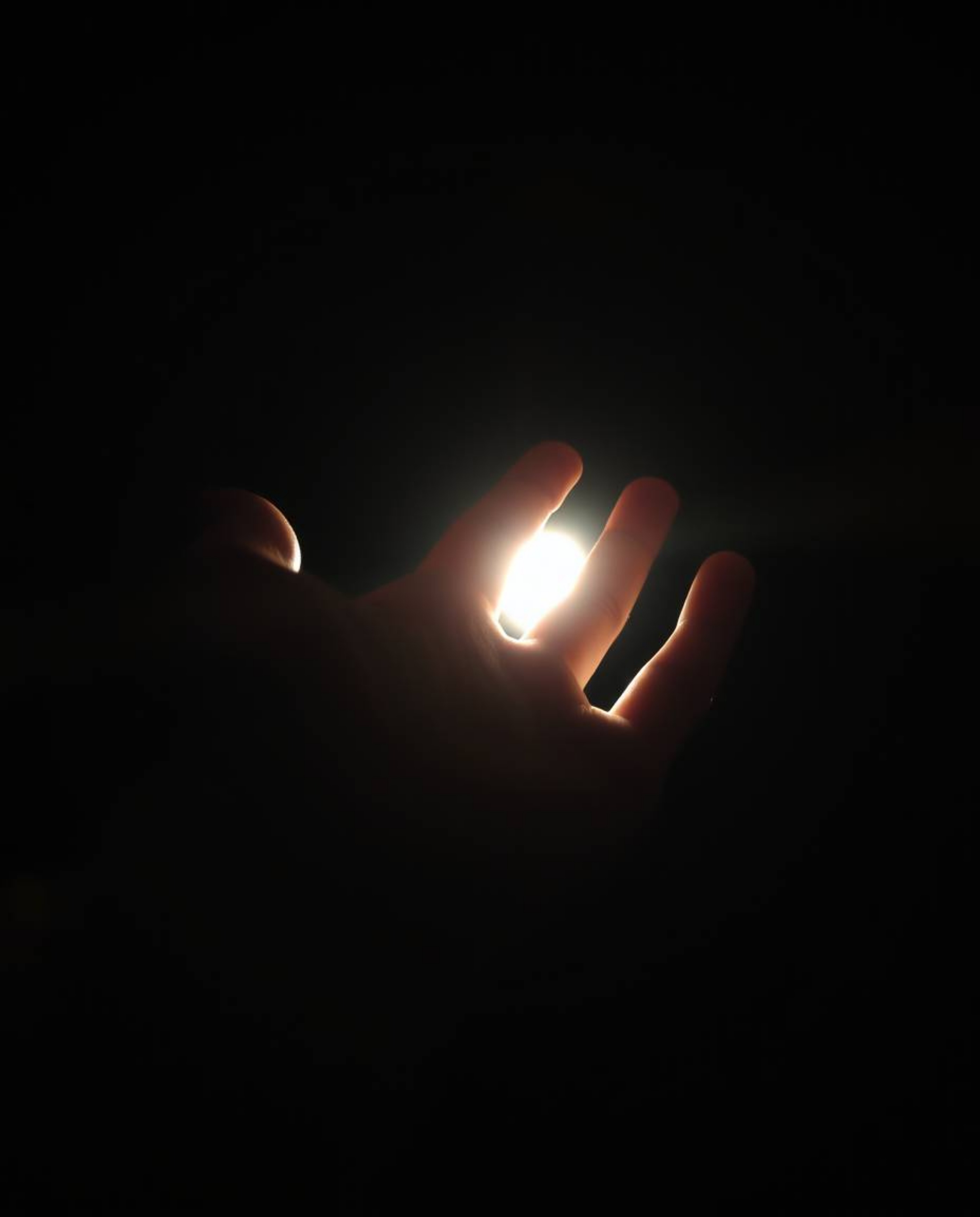 A captivating close-up shot depicts a hand emerging from deep shadows, reaching towards a source of light.  The dramatic cont