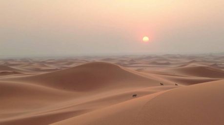 A captivating high-angle photograph showcases a gentle and soothing sunset over golden desert dunes.  The soft pastel colors 