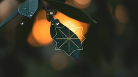Explore a collection of geometric logos featuring captivating blurred bokeh effects and the mesmerizing reflection of sunset 