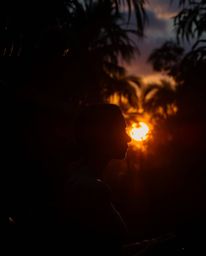 A dramatic photograph of a sunset viewed through a dense jungle canopy. The scene is defined by its intense lighting and high