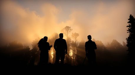 Experience the serene beauty of a golden hour forest with silhouetted figures, captured in a low-angle shot as mist gently ri