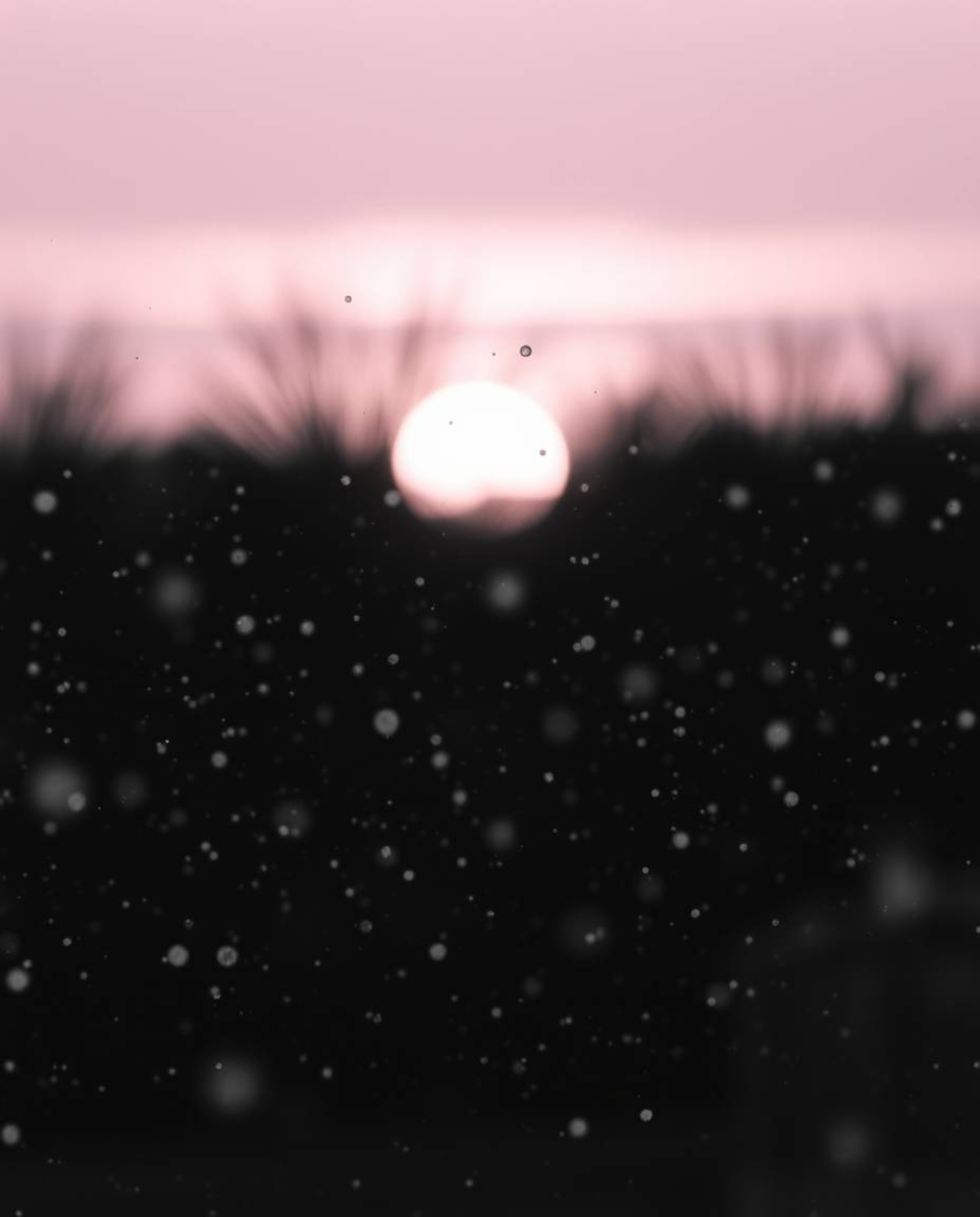 A classic black and white cinematic scene beautifully depicts snowflakes falling during a vibrant sunset. The thoughtful comp