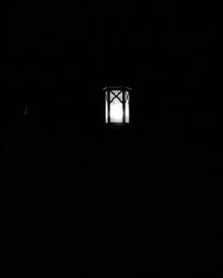 Experience the timeless elegance of a glowing lantern in a dark forest. This high-contrast, low-key black and white photograp