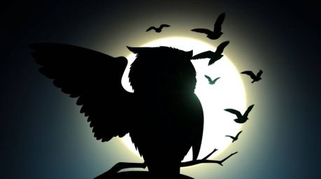A captivating design featuring a silhouetted logo in the style of Pixar, showcasing a blind owl teaching birds to fly. The ow