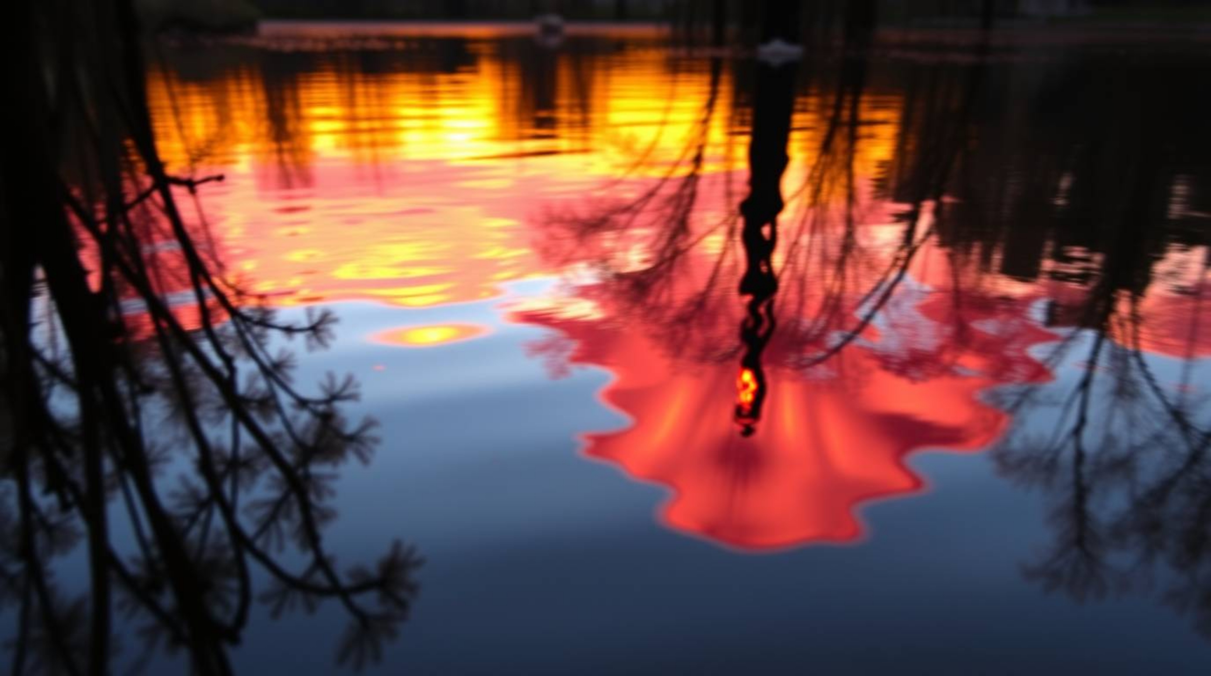 A captivating close-up photograph showcasing a detailed reflection of a vibrant sunset in a tranquil pond.  The image feature