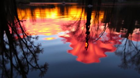 A captivating close-up photograph showcasing a detailed reflection of a vibrant sunset in a tranquil pond.  The image feature