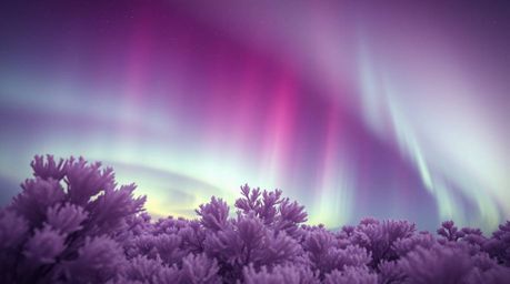 Explore a mesmerizing world of surreal infrared tones blended seamlessly into a gradient texture, reminiscent of the aurora b