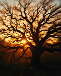 A dynamic and motion-filled illustration portraying a sunset behind an old oak tree with branches. The artwork is characteriz