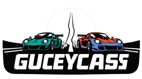 This logo concept is inspired by a wacky racing scene featuring outlandish cars and a distinct split design. Bold areas of hi