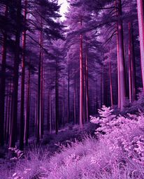 A captivating digital art piece featuring a modern flat design glitch effect applied to a natural forest scene.  Utilizing su