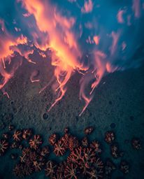 An overhead bird's-eye view captures a colorful sky over a coral reef at low tide. This radiant and luxurious top-down perspe