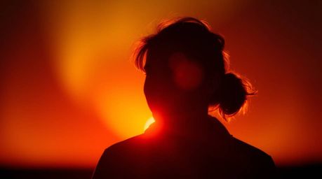 Explore captivating visuals with silhouetted backlighting, warm blurred bokeh, and sharp subject focus against a soft backgro