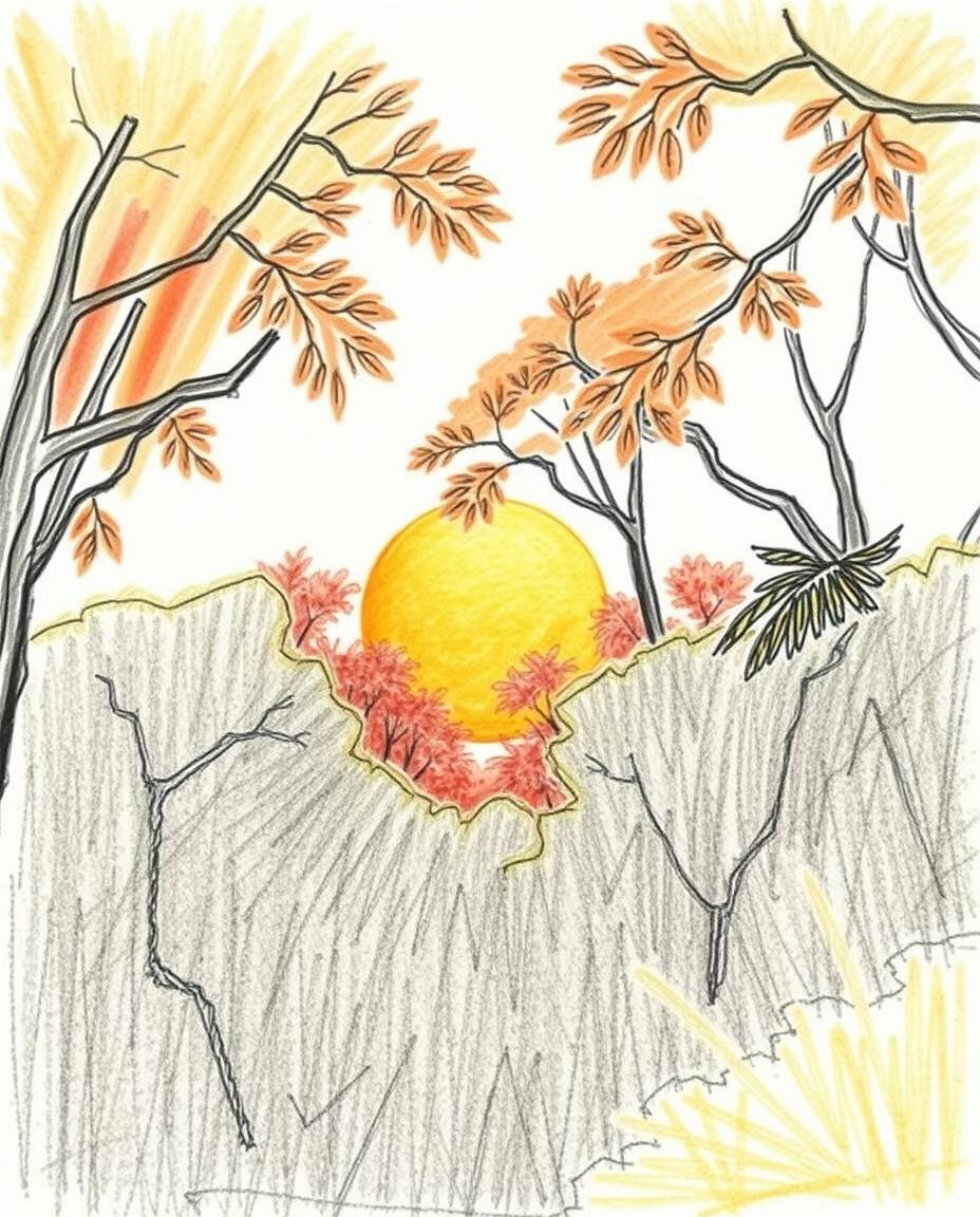 A charming hand-drawn sketch in warm autumn colors that portrays a sunset filtering through a dense jungle canopy. Characteri