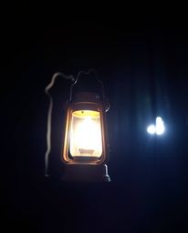 Capture the ethereal beauty of a glowing lantern amidst the dark embrace of a forest. This dynamic fine art photograph utiliz