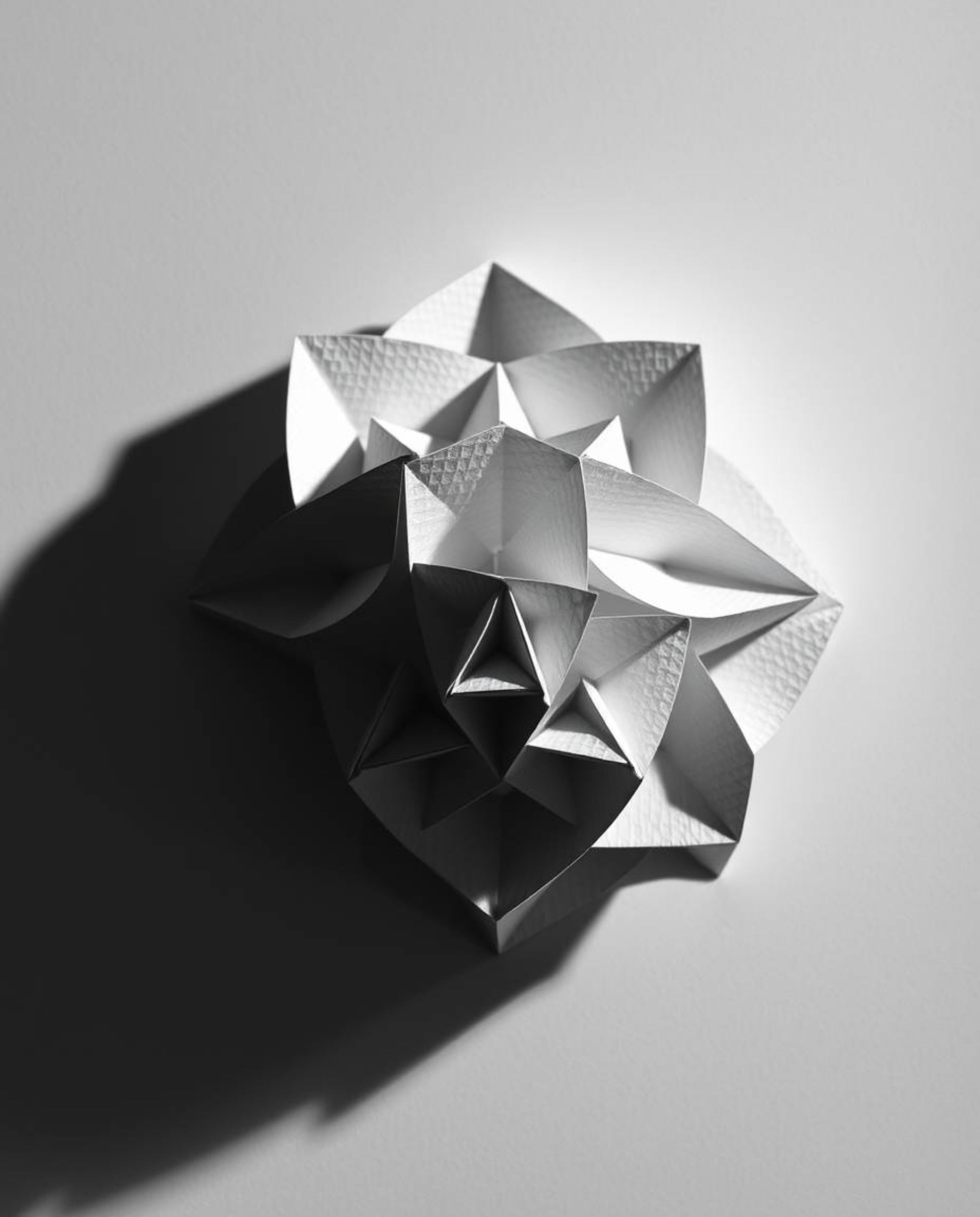 This striking black and white photograph captures a three-dimensional geometric pattern reminiscent of folded paper, meticulo