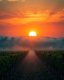 This is a grand and epic scene of a sunset over a vineyard, conceived on a massive scale with heroic elements. The atmosphere