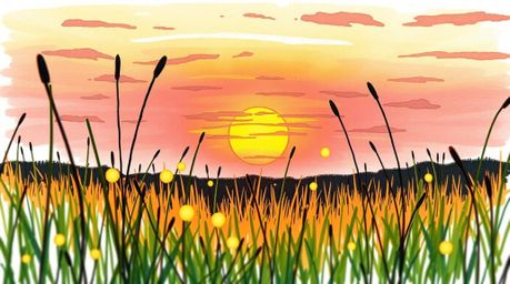 A captivating hand-drawn sketchnote showcases a tight close-up of a sunset over a tranquil meadow.  The detailed illustration
