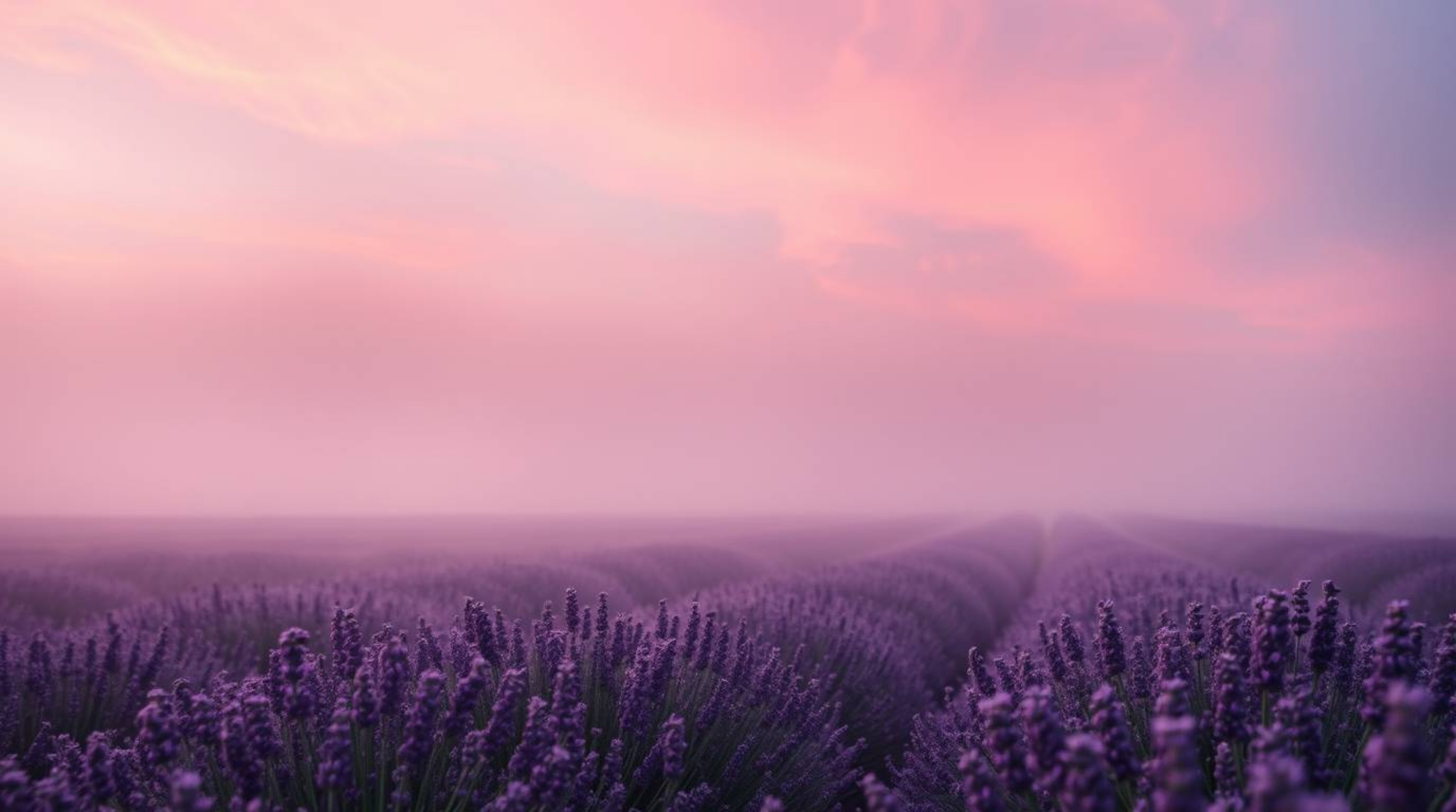 Experience an ethereal spiritual vibe where lavender fields glow beneath a dreamy pink sky, radiating a light aura and mystic